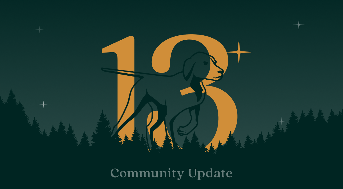 Community Update #13