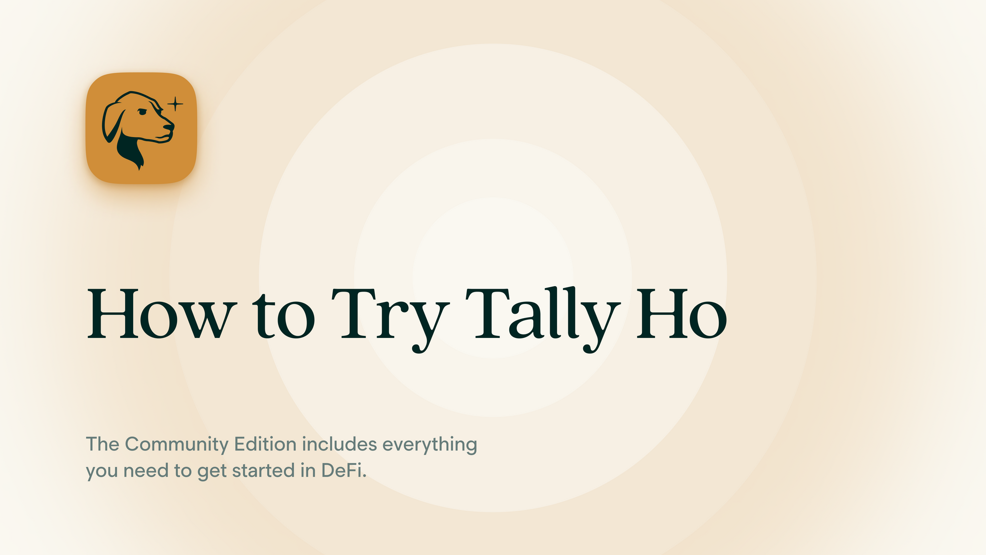 How to Try Tally Ho