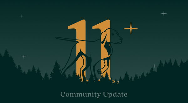 Community Update #11