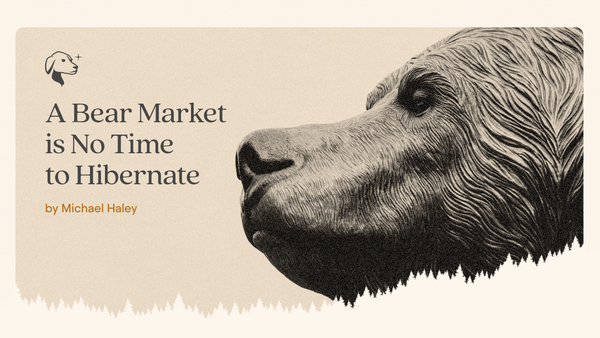 A Bear Market Is No Time to Hibernate
