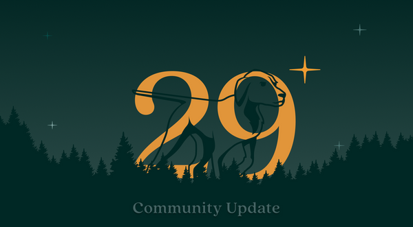 Community Update #29