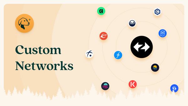 Introducing Custom Networks: The EVM Ecosystem at your Fingertips